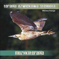 TERAPIA DŹWIĘKOWA STELLBOTA - 432 HZ. Muzyka bez opłat MP3